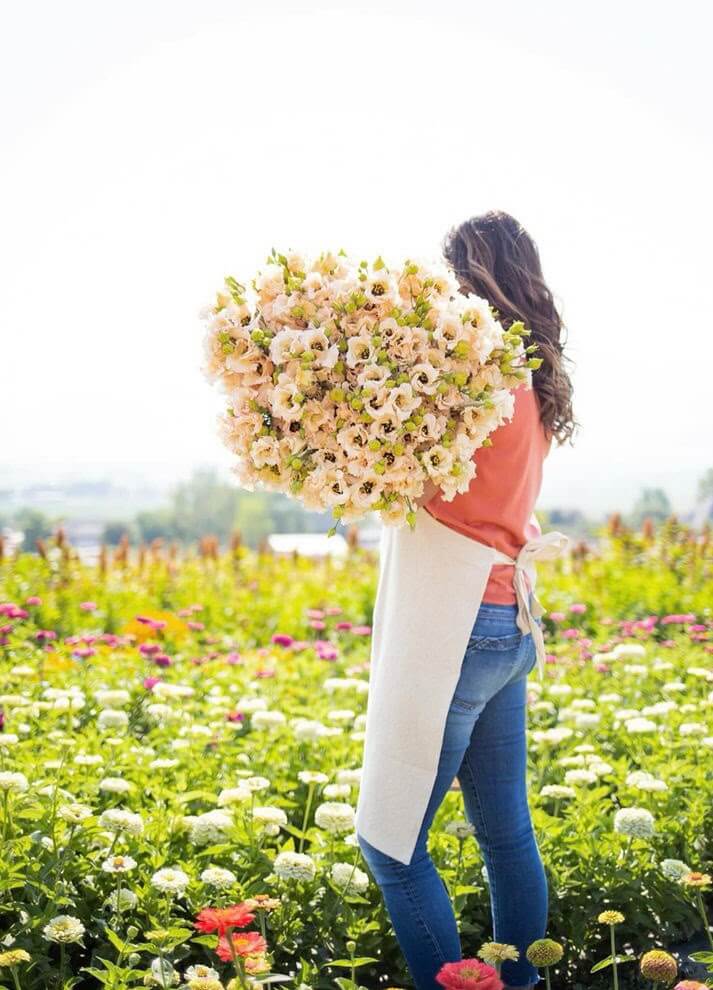 Woman holding bunch of flowers in flower field