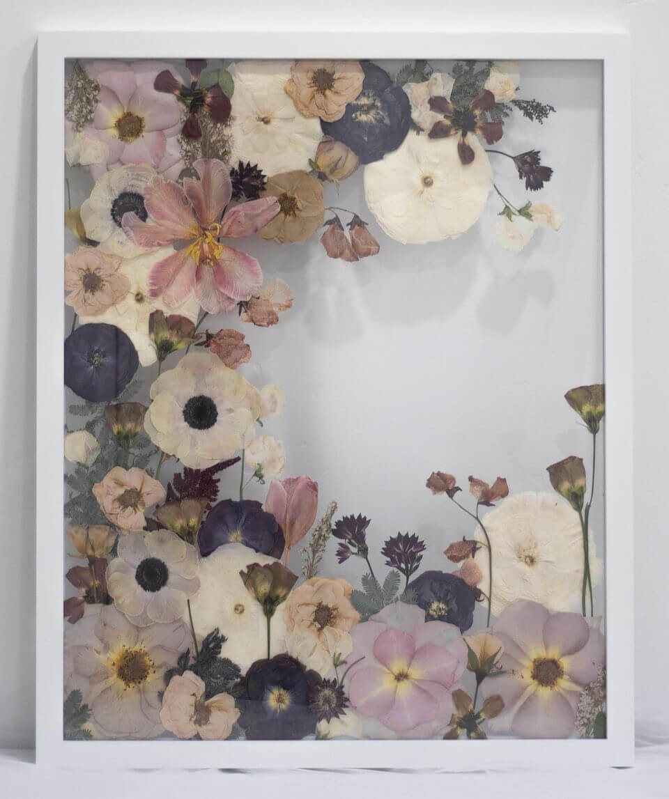 pressed flowers in frame